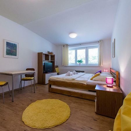 Apartmán Lipno 20 Lipno nad Vltavou Exterior foto