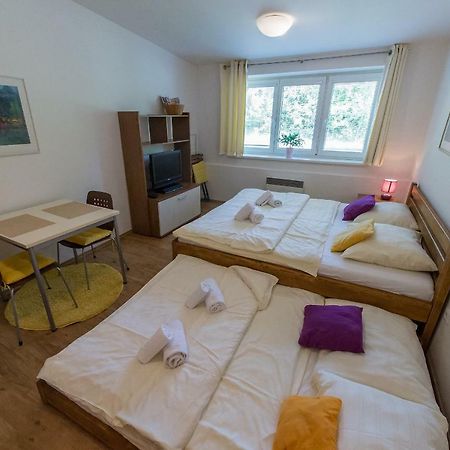 Apartmán Lipno 20 Lipno nad Vltavou Exterior foto