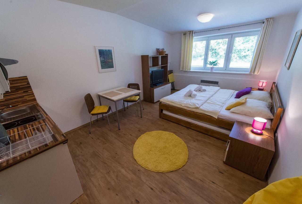 Apartmán Lipno 20 Lipno nad Vltavou Exterior foto