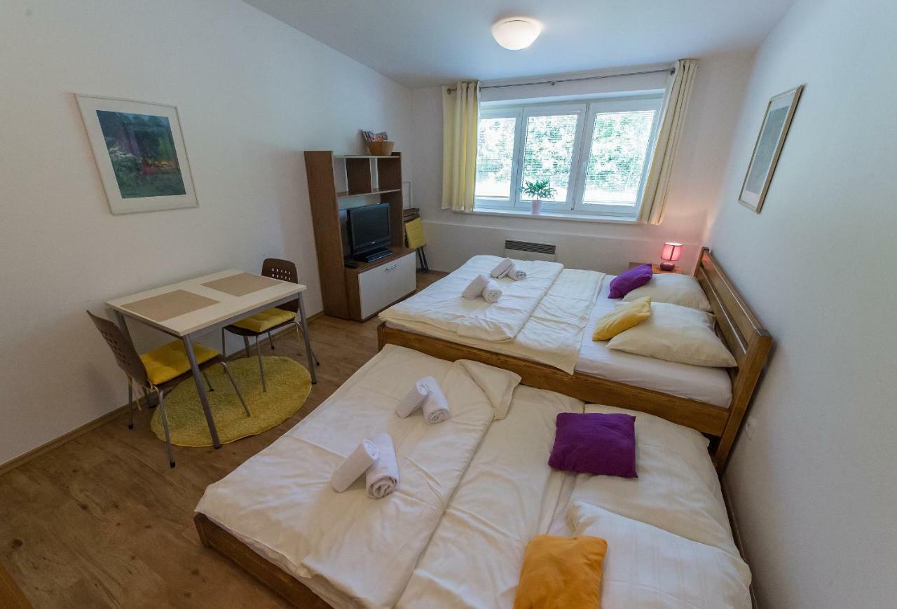 Apartmán Lipno 20 Lipno nad Vltavou Exterior foto